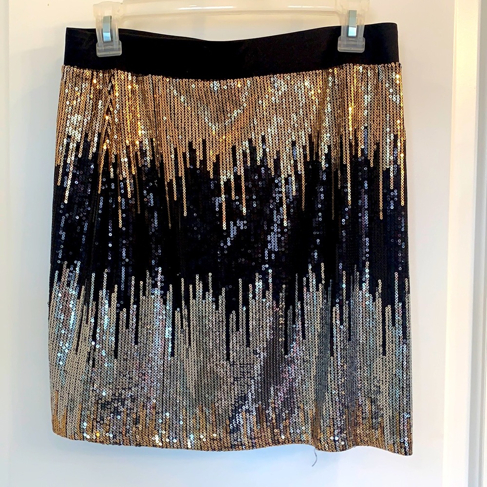 Sequin Skirt